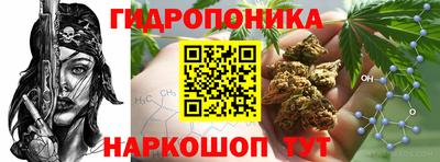 дурь Новодвинск