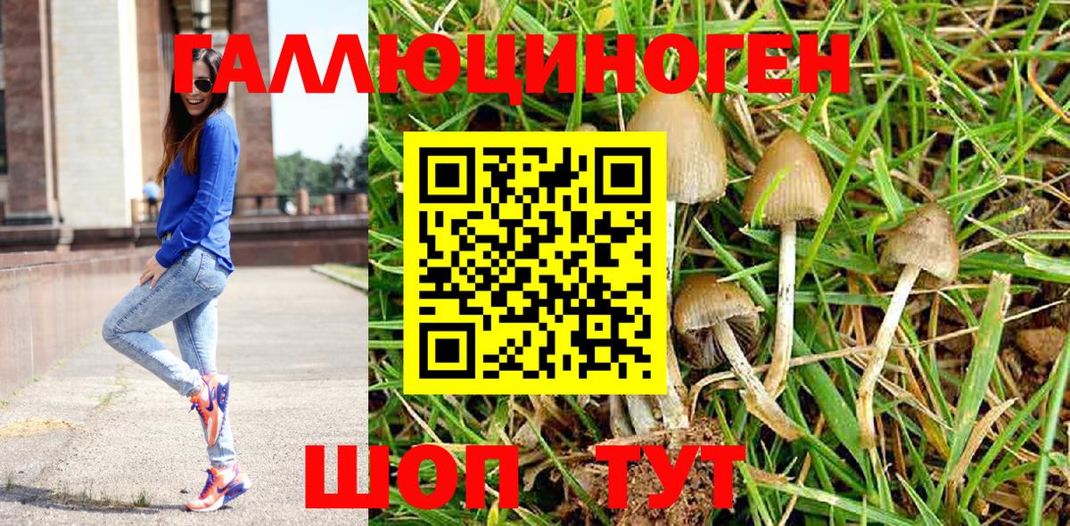 Псилоцибиновые грибы Psilocybine cubensis  Вход с VPN  Семилуки  Галлюциногенные грибы Magic Shrooms 