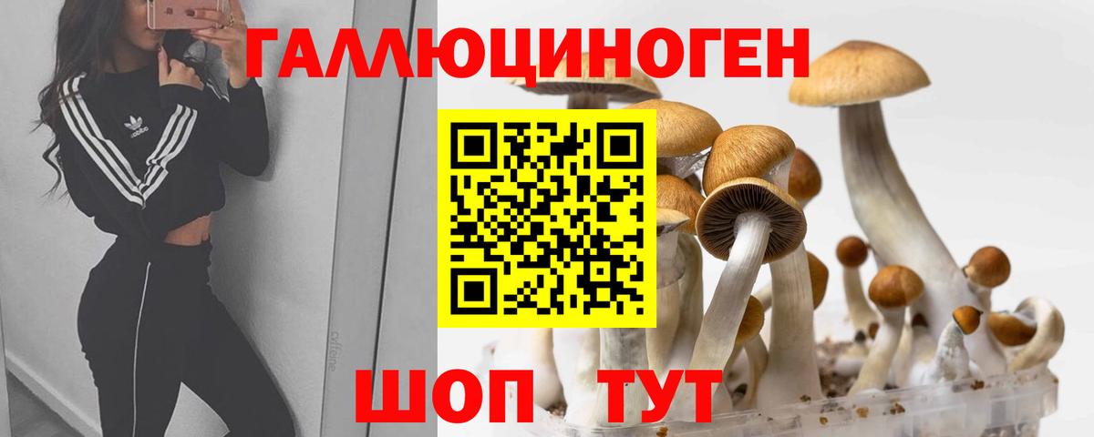 Псилоцибиновые грибы MAGIC MUSHROOMS Семилуки